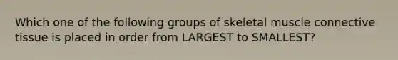 Which one of the following groups of skeletal muscle connective tissue is placed in order from LARGEST to SMALLEST?