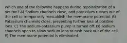 Which one of the following happens during repolarization of a neuron? A) Sodium channels close, and potassium rushes out of the cell to temporarily reestablish the membrane potential. B) Potassium channels close, preventing further loss of positive ions. C) The sodium-potassium pump is turned off. D) Sodium channels open to allow sodium ions to rush back out of the cell. E) The membrane potential is eliminated.