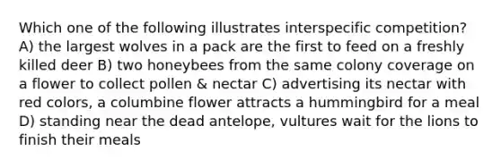 Which one of the following illustrates interspecific competition? A) the largest wolves in a pack are the first to feed on a freshly killed deer B) two honeybees from the same colony coverage on a flower to collect pollen & nectar C) advertising its nectar with red colors, a columbine flower attracts a hummingbird for a meal D) standing near the dead antelope, vultures wait for the lions to finish their meals