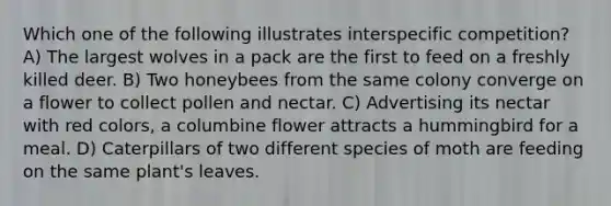 Which one of the following illustrates interspecific competition? A) The largest wolves in a pack are the first to feed on a freshly killed deer. B) Two honeybees from the same colony converge on a flower to collect pollen and nectar. C) Advertising its nectar with red colors, a columbine flower attracts a hummingbird for a meal. D) Caterpillars of two different species of moth are feeding on the same plant's leaves.