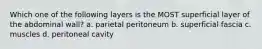 Which one of the following layers is the MOST superficial layer of the abdominal wall? a. parietal peritoneum b. superficial fascia c. muscles d. peritoneal cavity