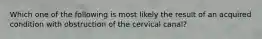 Which one of the following is most likely the result of an acquired condition with obstruction of the cervical canal?