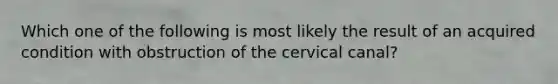 Which one of the following is most likely the result of an acquired condition with obstruction of the cervical canal?