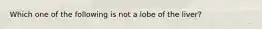 Which one of the following is not a lobe of the liver?