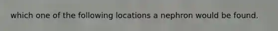 which one of the following locations a nephron would be found.