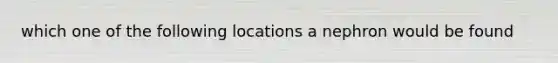 which one of the following locations a nephron would be found