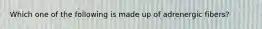 Which one of the following is made up of adrenergic fibers?