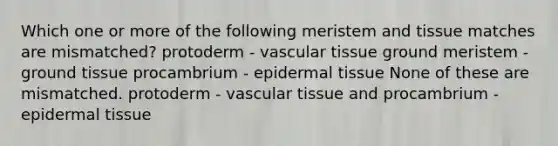 Which one or more of the following meristem and tissue matches are mismatched? protoderm - vascular tissue ground meristem - ground tissue procambrium - epidermal tissue None of these are mismatched. protoderm - vascular tissue and procambrium - epidermal tissue