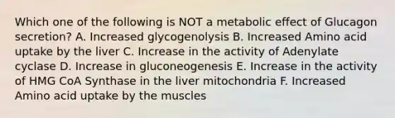 Which one of the following is NOT a metabolic effect of Glucagon secretion? A. Increased glycogenolysis B. Increased Amino acid uptake by the liver C. Increase in the activity of Adenylate cyclase D. Increase in gluconeogenesis E. Increase in the activity of HMG CoA Synthase in the liver mitochondria F. Increased Amino acid uptake by the muscles