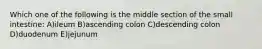 Which one of the following is the middle section of the small intestine: A)ileum B)ascending colon C)descending colon D)duodenum E)jejunum