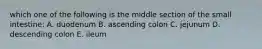 which one of the following is the middle section of the small intestine: A. duodenum B. ascending colon C. jejunum D. descending colon E. ileum
