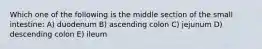 Which one of the following is the middle section of the small intestine: A) duodenum B) ascending colon C) jejunum D) descending colon E) ileum