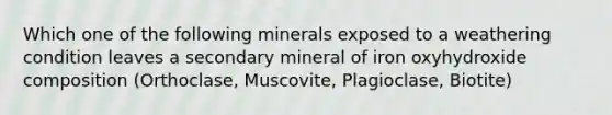 Which one of the following minerals exposed to a weathering condition leaves a secondary mineral of iron oxyhydroxide composition (Orthoclase, Muscovite, Plagioclase, Biotite)