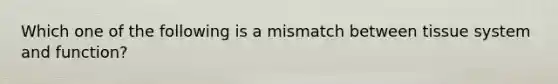 Which one of the following is a mismatch between tissue system and function?