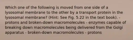 Which one of the following is moved from one side of a lysosomal membrane to the other by a transport protein in the lysosomal membrane? (Hint: See Fig. 5.22 in the text book). - protons and broken-down macromolecules - enzymes capable of breaking down macromolecules being delivered from the Golgi apparatus - broken-down macromolecules - protons