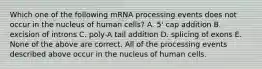 Which one of the following mRNA processing events does not occur in the nucleus of human cells? A. 5' cap addition B. excision of introns C. poly-A tail addition D. splicing of exons E. None of the above are correct. All of the processing events described above occur in the nucleus of human cells.