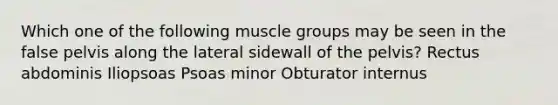 Which one of the following muscle groups may be seen in the false pelvis along the lateral sidewall of the pelvis? Rectus abdominis Iliopsoas Psoas minor Obturator internus