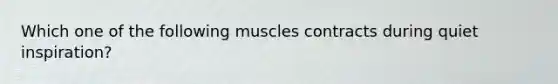 Which one of the following muscles contracts during quiet inspiration?