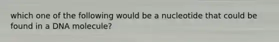 which one of the following would be a nucleotide that could be found in a DNA molecule?