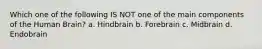 Which one of the following IS NOT one of the main components of the Human Brain? a. Hindbrain b. Forebrain c. Midbrain d. Endobrain