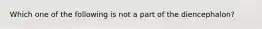 Which one of the following is not a part of the diencephalon?