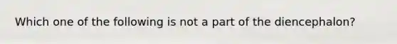 Which one of the following is not a part of the diencephalon?