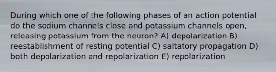 During which one of the following phases of an action potential do the sodium channels close and potassium channels open, releasing potassium from the neuron? A) depolarization B) reestablishment of resting potential C) saltatory propagation D) both depolarization and repolarization E) repolarization