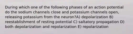 During which one of the following phases of an action potential do the sodium channels close and potassium channels open, releasing potassium from the neuron?A) depolarization B) reestablishment of resting potential C) saltatory propagation D) both depolarization and repolarization E) repolarization