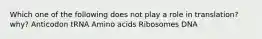 Which one of the following does not play a role in translation? why? Anticodon tRNA Amino acids Ribosomes DNA