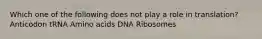 Which one of the following does not play a role in translation? Anticodon tRNA Amino acids DNA Ribosomes