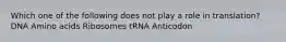 Which one of the following does not play a role in translation? DNA Amino acids Ribosomes tRNA Anticodon