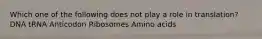 Which one of the following does not play a role in translation? DNA tRNA Anticodon Ribosomes Amino acids