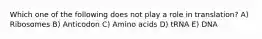 Which one of the following does not play a role in translation? A) Ribosomes B) Anticodon C) Amino acids D) tRNA E) DNA