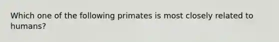 Which one of the following primates is most closely related to humans?