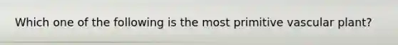 Which one of the following is the most primitive vascular plant?