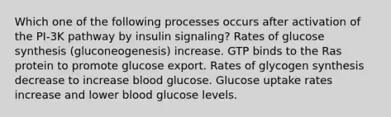 Which one of the following processes occurs after activation of the PI-3K pathway by insulin signaling? Rates of glucose synthesis (gluconeogenesis) increase. GTP binds to the Ras protein to promote glucose export. Rates of glycogen synthesis decrease to increase blood glucose. Glucose uptake rates increase and lower blood glucose levels.