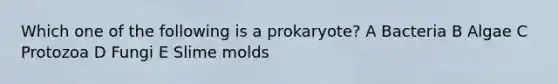 Which one of the following is a prokaryote? A Bacteria B Algae C Protozoa D Fungi E Slime molds