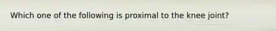 Which one of the following is proximal to the knee joint?