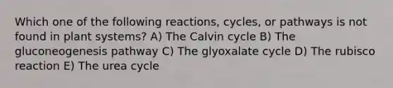 Which one of the following reactions, cycles, or pathways is not found in plant systems? A) The Calvin cycle B) The gluconeogenesis pathway C) The glyoxalate cycle D) The rubisco reaction E) The urea cycle