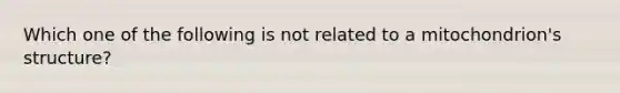 Which one of the following is not related to a mitochondrion's structure?