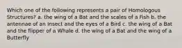 Which one of the following represents a pair of Homologous Structures? a. the wing of a Bat and the scales of a Fish b. the antennae of an Insect and the eyes of a Bird c. the wing of a Bat and the flipper of a Whale d. the wing of a Bat and the wing of a Butterfly