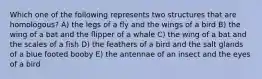 Which one of the following represents two structures that are homologous? A) the legs of a fly and the wings of a bird B) the wing of a bat and the flipper of a whale C) the wing of a bat and the scales of a fish D) the feathers of a bird and the salt glands of a blue footed booby E) the antennae of an insect and the eyes of a bird