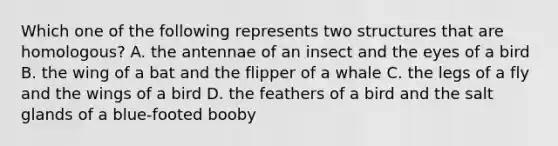 Which one of the following represents two structures that are homologous? A. the antennae of an insect and the eyes of a bird B. the wing of a bat and the flipper of a whale C. the legs of a fly and the wings of a bird D. the feathers of a bird and the salt glands of a blue-footed booby