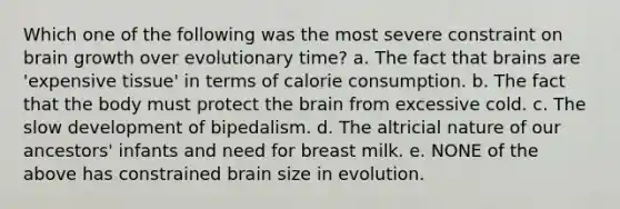 Which one of the following was the most severe constraint on brain growth over evolutionary time? a. The fact that brains are 'expensive tissue' in terms of calorie consumption. b. The fact that the body must protect the brain from excessive cold. c. The slow development of bipedalism. d. The altricial nature of our ancestors' infants and need for breast milk. e. NONE of the above has constrained brain size in evolution.