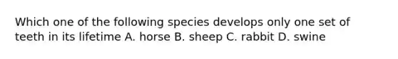 Which one of the following species develops only one set of teeth in its lifetime A. horse B. sheep C. rabbit D. swine