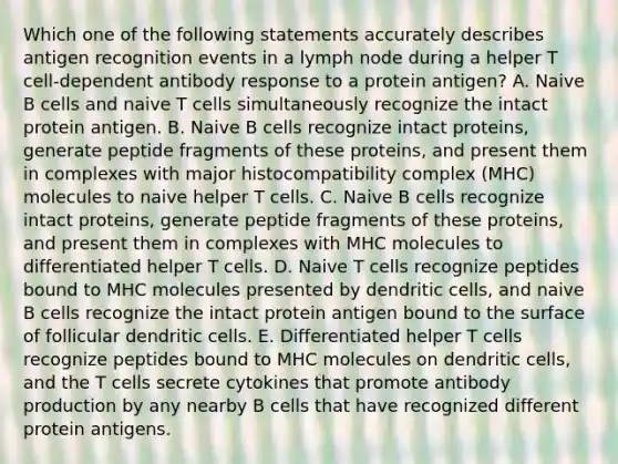 Which one of the following statements accurately describes antigen recognition events in a lymph node during a helper T cell-dependent antibody response to a protein antigen? A. Naive B cells and naive T cells simultaneously recognize the intact protein antigen. B. Naive B cells recognize intact proteins, generate peptide fragments of these proteins, and present them in complexes with major histocompatibility complex (MHC) molecules to naive helper T cells. C. Naive B cells recognize intact proteins, generate peptide fragments of these proteins, and present them in complexes with MHC molecules to differentiated helper T cells. D. Naive T cells recognize peptides bound to MHC molecules presented by dendritic cells, and naive B cells recognize the intact protein antigen bound to the surface of follicular dendritic cells. E. Differentiated helper T cells recognize peptides bound to MHC molecules on dendritic cells, and the T cells secrete cytokines that promote antibody production by any nearby B cells that have recognized different protein antigens.