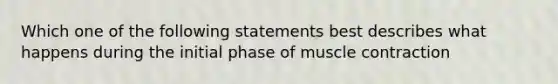 Which one of the following statements best describes what happens during the initial phase of muscle contraction