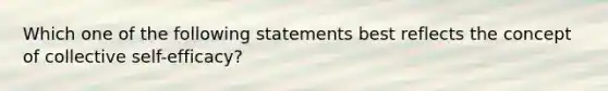 Which one of the following statements best reflects the concept of collective self-efficacy?