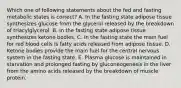 Which one of following statements about the fed and fasting metabolic states is correct? A. In the fasting state adipose tissue synthesizes glucose from the glycerol released by the breakdown of triacylglycerol. B. In the fasting state adipose tissue synthesizes ketone bodies. C. In the fasting state the main fuel for red blood cells is fatty acids released from adipose tissue. D. Ketone bodies provide the main fuel for the central nervous system in the fasting state. E. Plasma glucose is maintained in starvation and prolonged fasting by gluconeogenesis in the liver from the amino acids released by the breakdown of muscle protein.