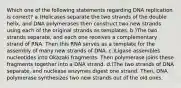 Which one of the following statements regarding DNA replication is correct? a.)Helicases separate the two strands of the double helix, and DNA polymerases then construct two new strands using each of the original strands as templates. b.)The two strands separate, and each one receives a complementary strand of RNA. Then this RNA serves as a template for the assembly of many new strands of DNA. c.)Ligase assembles nucleotides into Okazaki fragments. Then polymerase joins these fragments together into a DNA strand. d.)The two strands of DNA separate, and nuclease enzymes digest one strand. Then, DNA polymerase synthesizes two new strands out of the old ones.